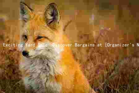 Exciting Yard Sale: Discover Bargains at [Organizer's Name], [Date and Location]