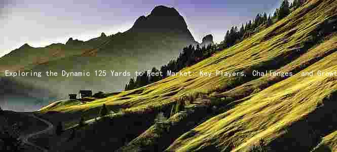 Exploring the Dynamic 125 Yards to Feet Market: Key Players, Challenges, and Growth Prospects