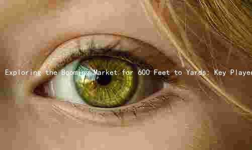 Exploring the Booming Market for 600 Feet to Yards: Key Players, Challenges, and Innovations