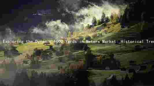 Exploring the Dynamic 1000 Yards in Meters Market: Historical Trends, Key Factors, Major Players, and Future Risks