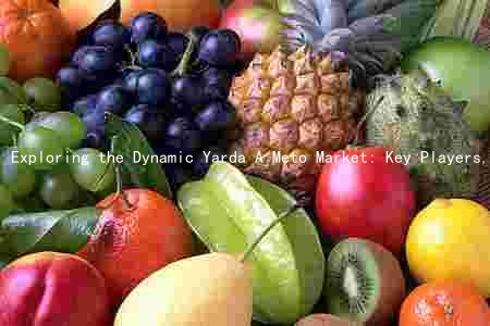 Exploring the Dynamic Yarda A Meto Market: Key Players, Trends, and Future