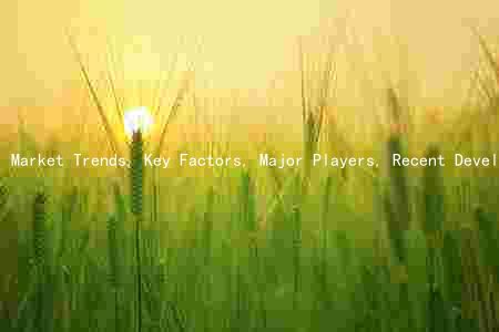 Market Trends, Key Factors, Major Players, Recent Developments, and Risks in the Industry: A Comprehensive Analysis